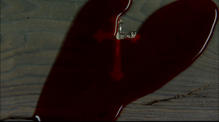 vlcsnap-2019-05-27-11h56m41s399