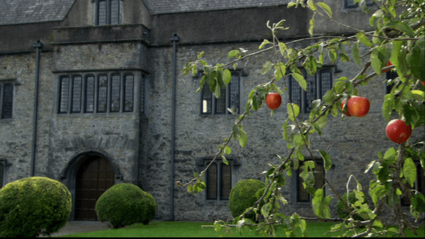 vlcsnap-2020-06-24-17h05m13s551